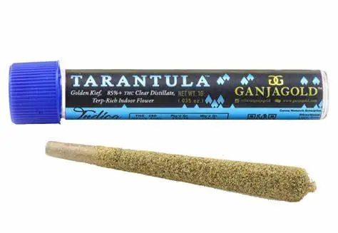 oip (1) Ganja Gold/Blue Tarantula